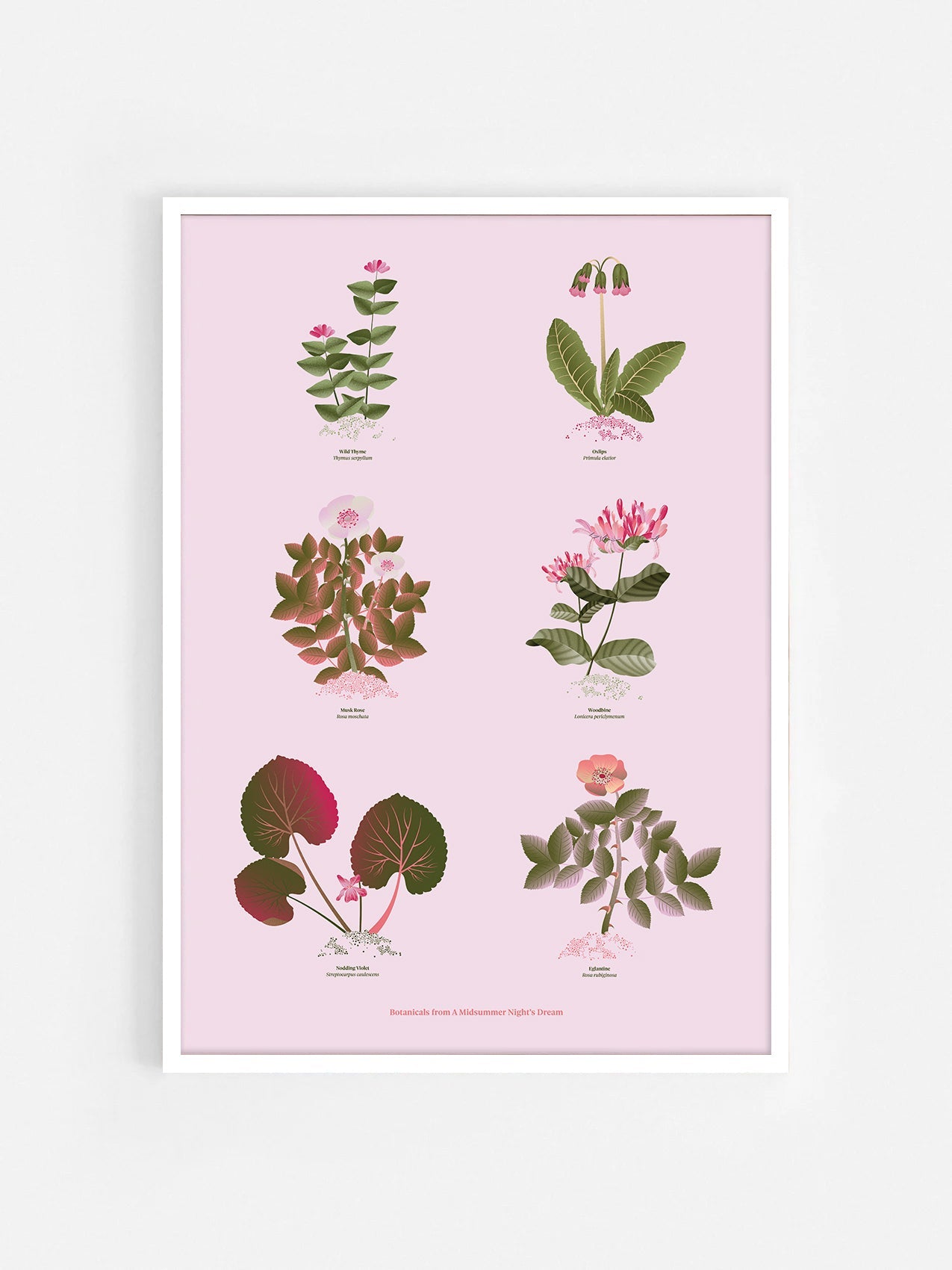 Floral art print 'The Forest's Flora' with olive, pink, and pomegranate hues, inspired by Shakespeare's forest - White Frame.
