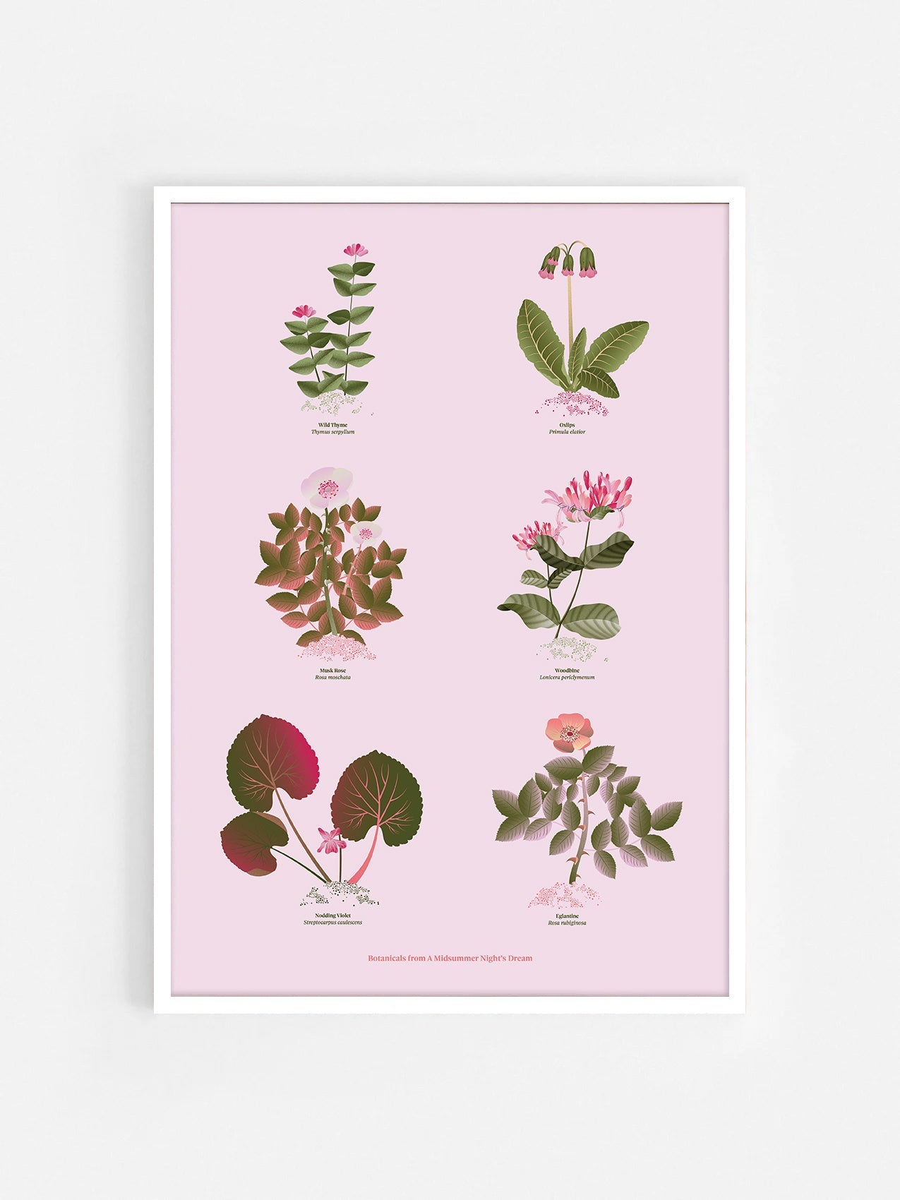 Floral art print 'The Forest's Flora' with olive, pink, and pomegranate hues, inspired by Shakespeare's forest - White Frame.