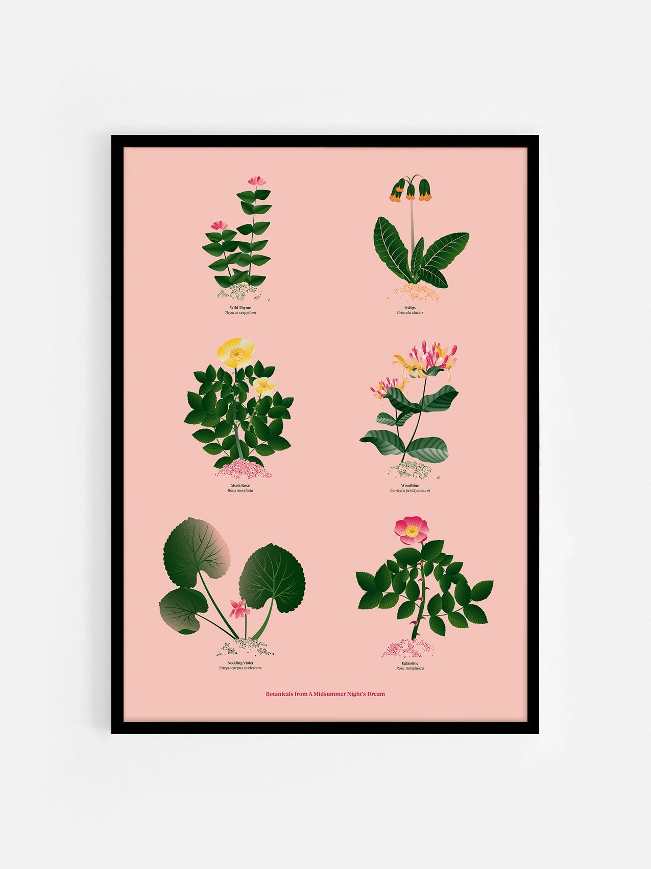 Floral art print 'The Forest's Flora' with forest green, saffron, and magenta hues, inspired by Shakespeare's forest - Black Frame.