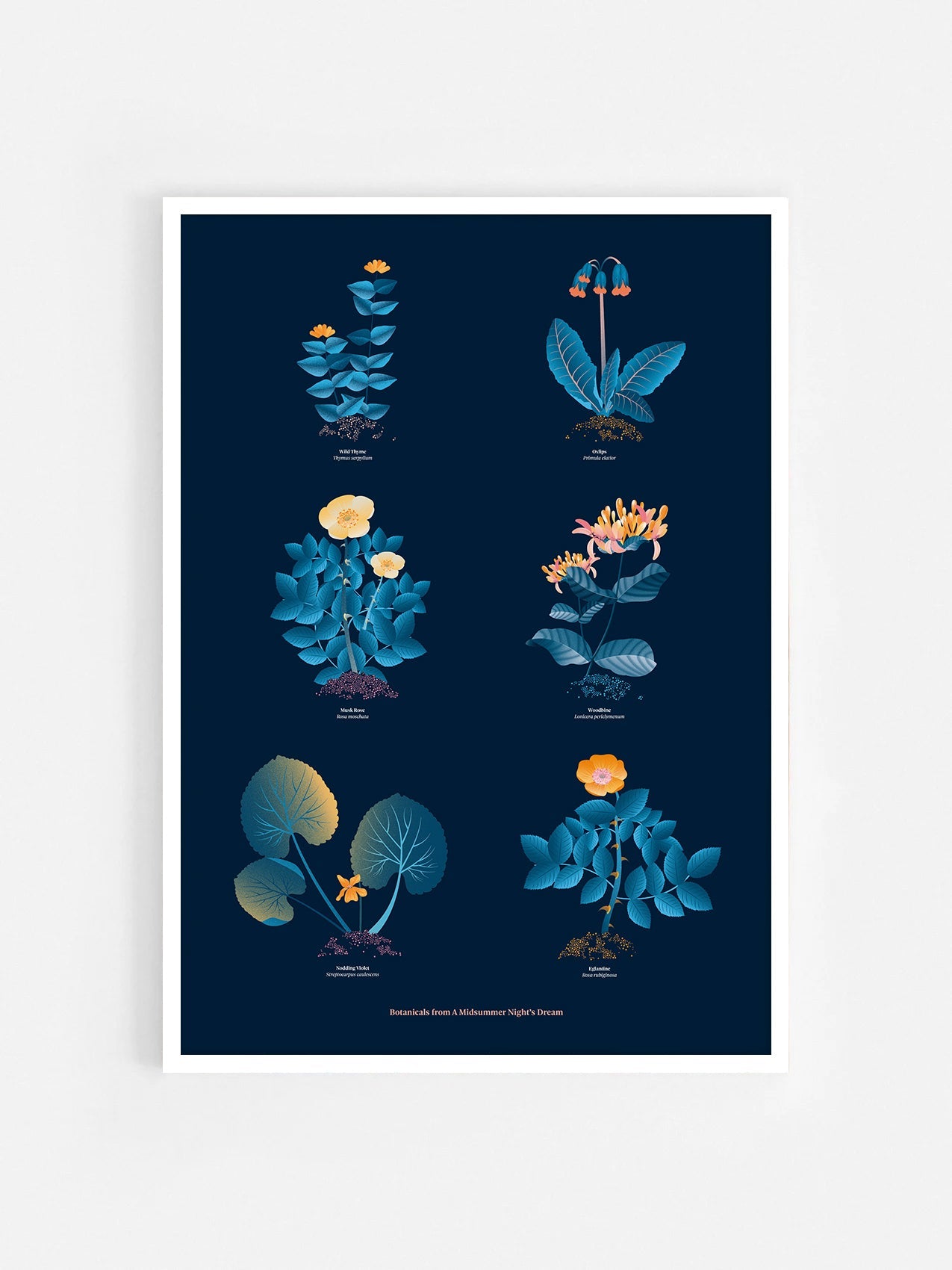 Floral art print 'The Forest's Flora' with blue, orange, and golden hues, inspired by Shakespeare's forest - White Frame.