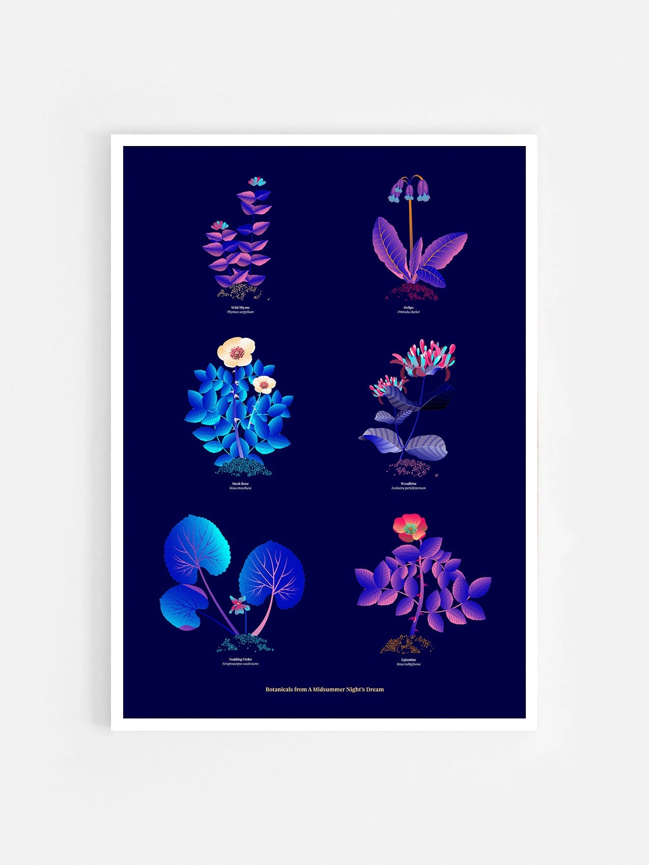 Floral art print 'The Forest's Flora' with electric blue, day-glow, and buttercup hues, inspired by Shakespeare's forest - White Frame.