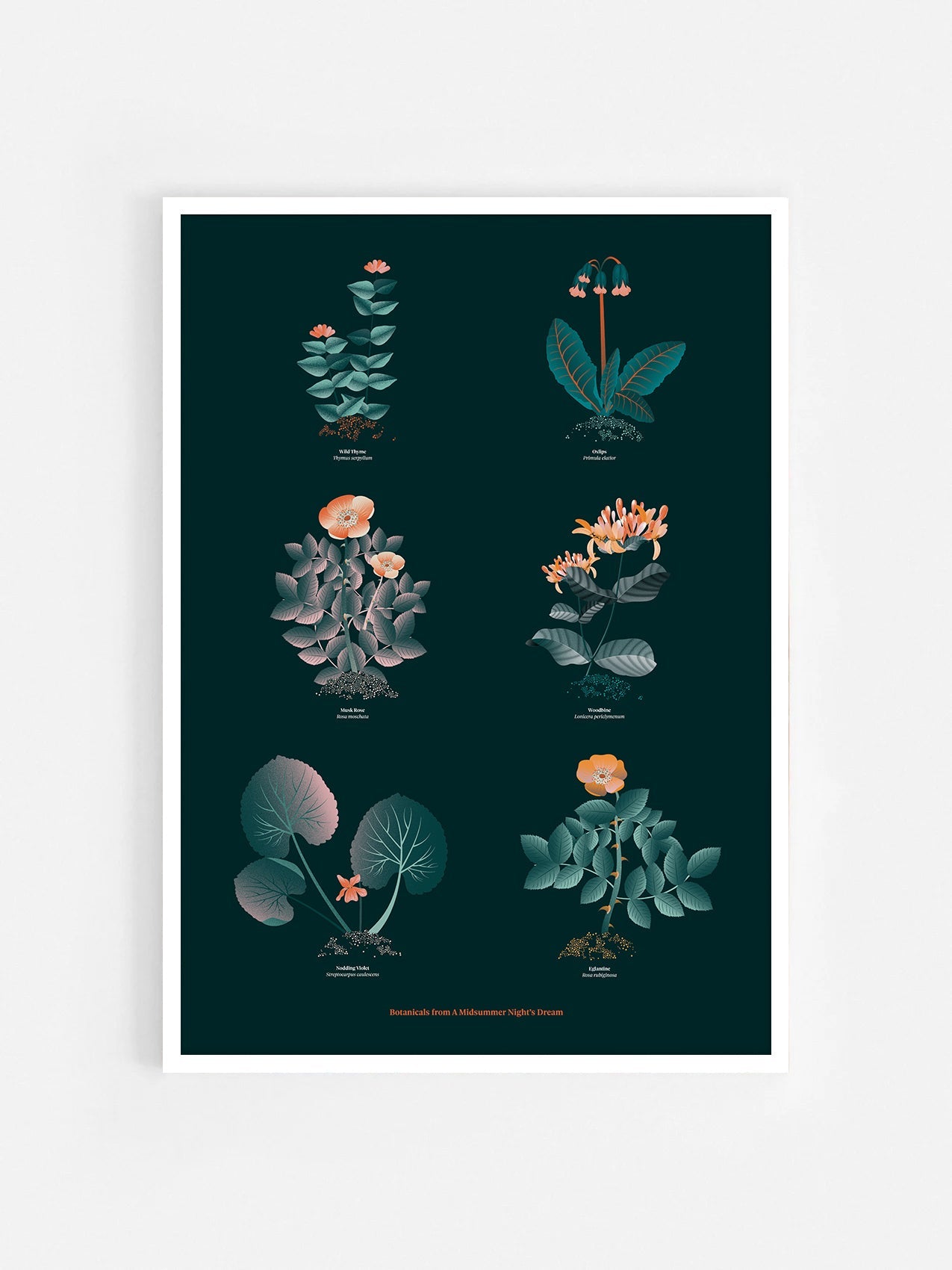 Floral art print 'The Forest's Flora' with teal, mandarin, and orange hues, inspired by Shakespeare's forest - White Frame.