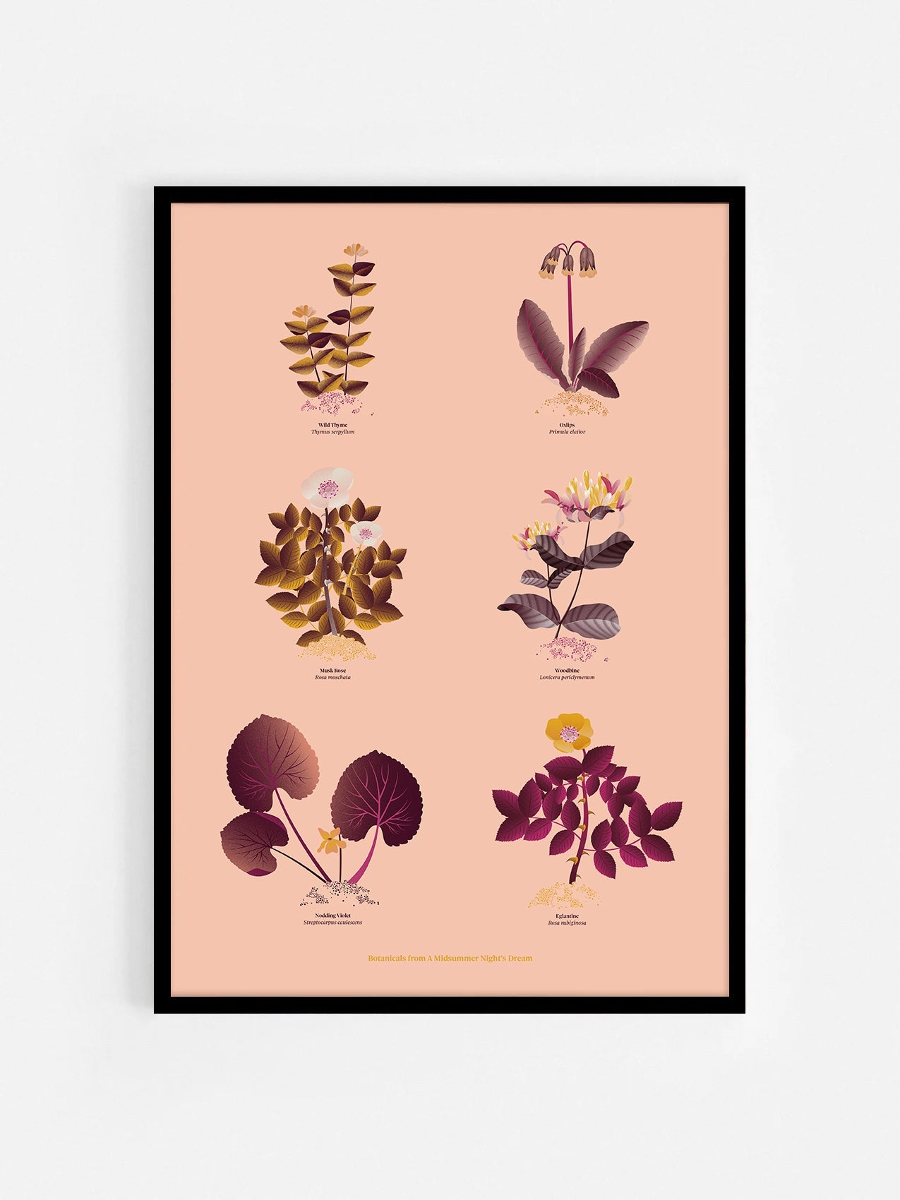 Floral art print 'The Forest's Flora' with aubergine, rose, and orange hues, inspired by Shakespeare's woodland - Black Frame.