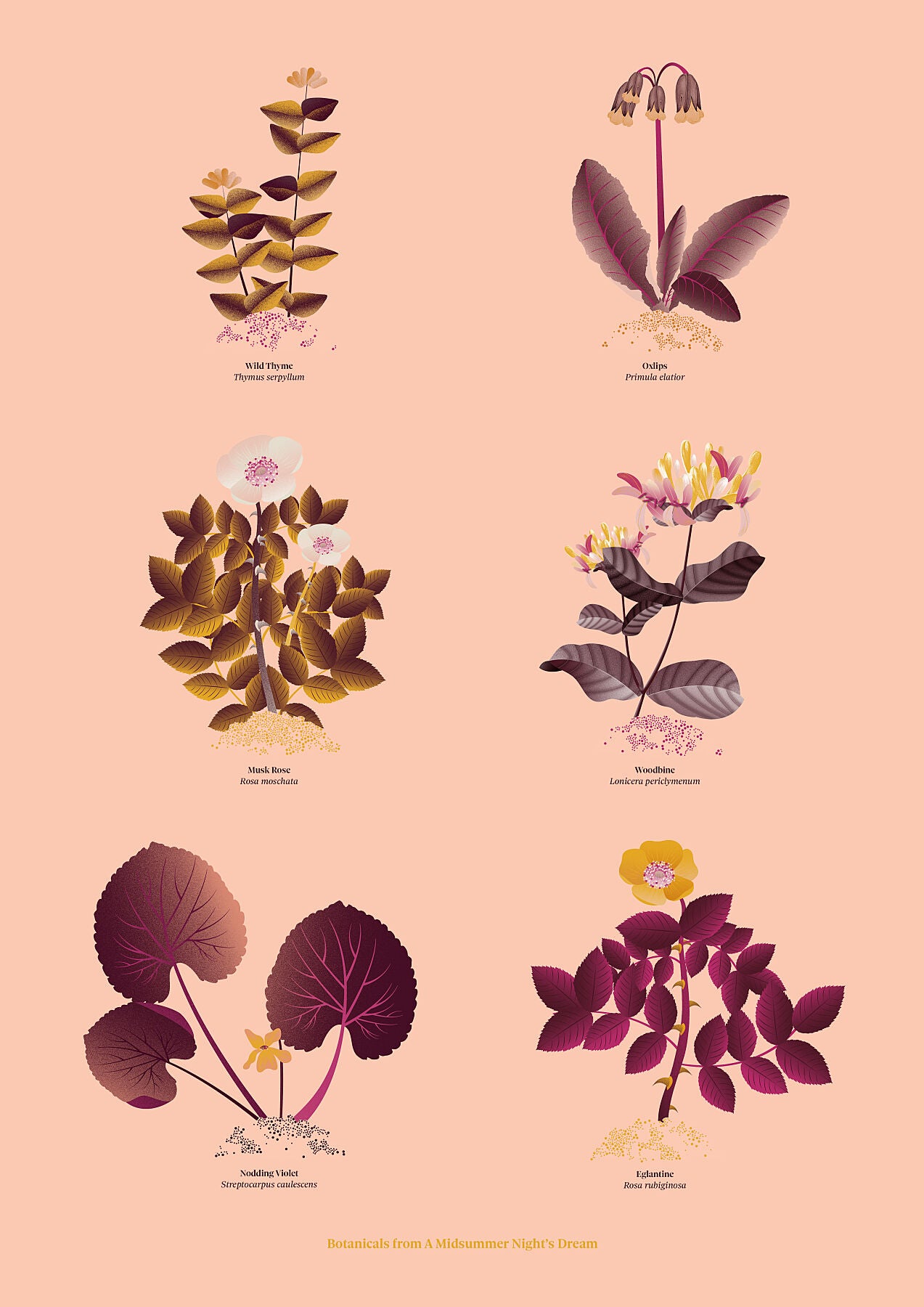 Floral art print 'The Forest's Flora' with aubergine, rose, and orange hues, inspired by Shakespeare's woodland - Print Only.