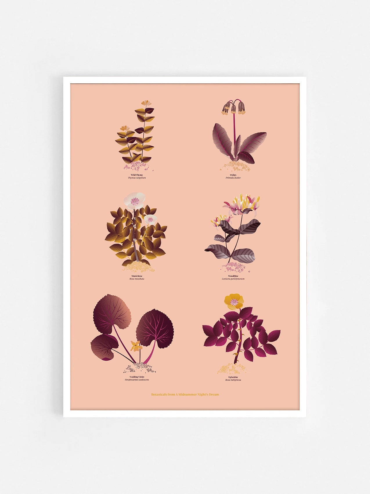 Floral art print 'The Forest's Flora' with aubergine, rose, and orange hues, inspired by Shakespeare's woodland - White Frame.