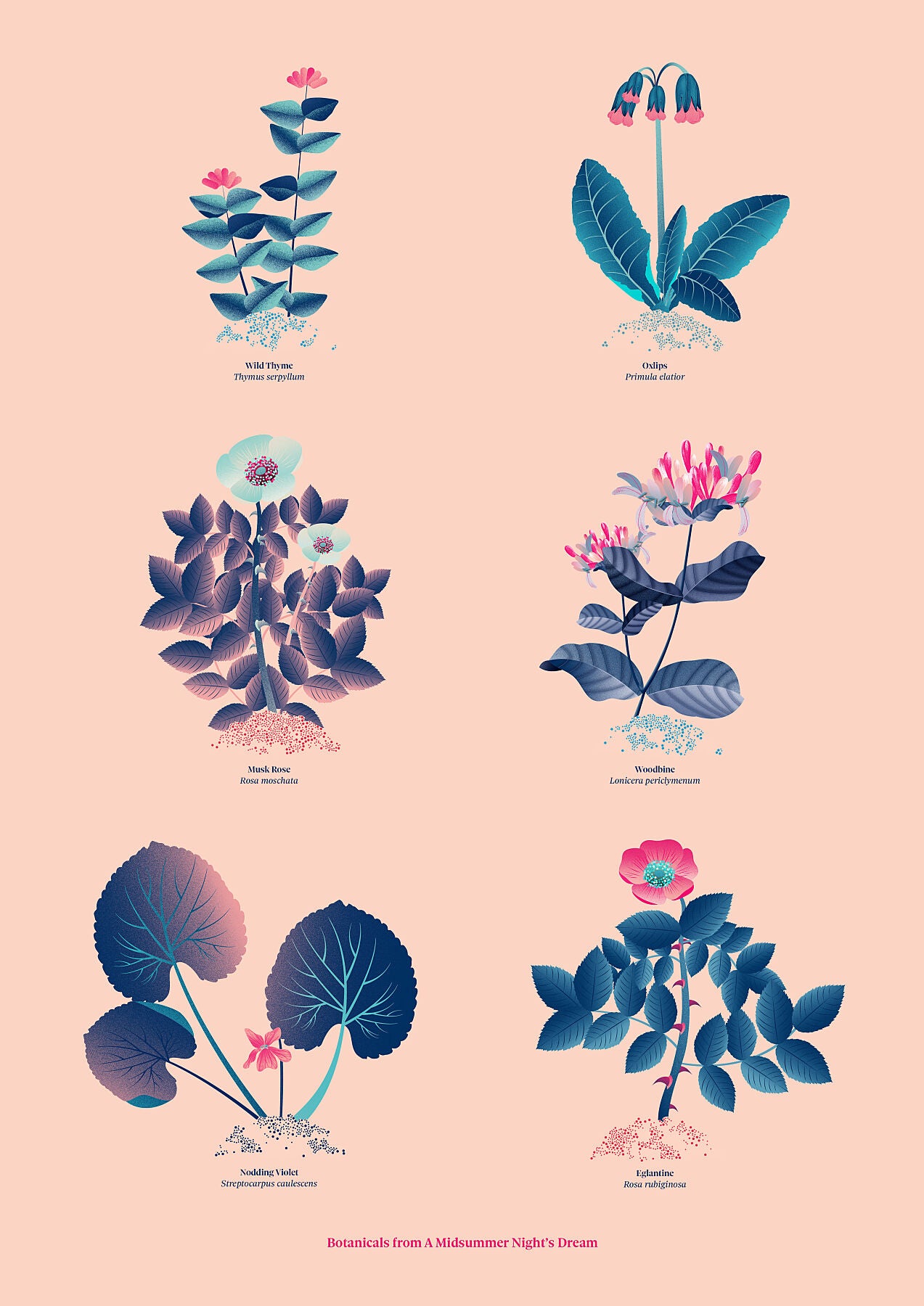 Floral art print 'The Forest's Flora' with ruby red, turquoise, and blue hues, inspired by Shakespeare's woodland - Print Only.