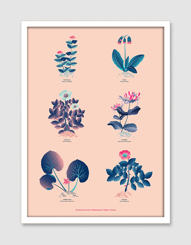 Floral art print 'The Forest's Flora' with ruby red, turquoise, and blue hues, inspired by Shakespeare's woodland - White Frame.