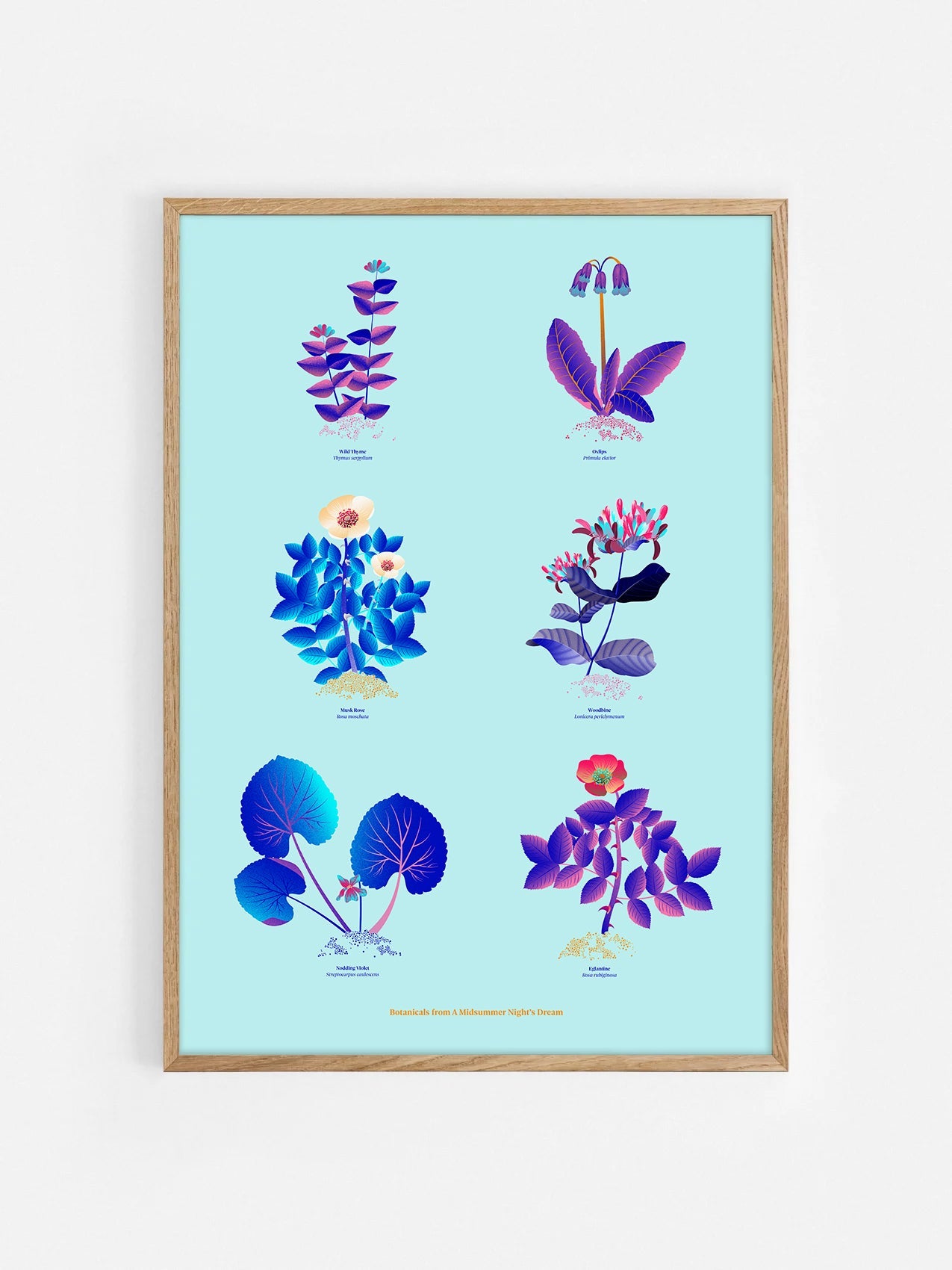 Floral art print 'The Forest's Flora' with electric blue, day-glow, and buttercup hues, inspired by Shakespeare's woodland - Oak Frame.
