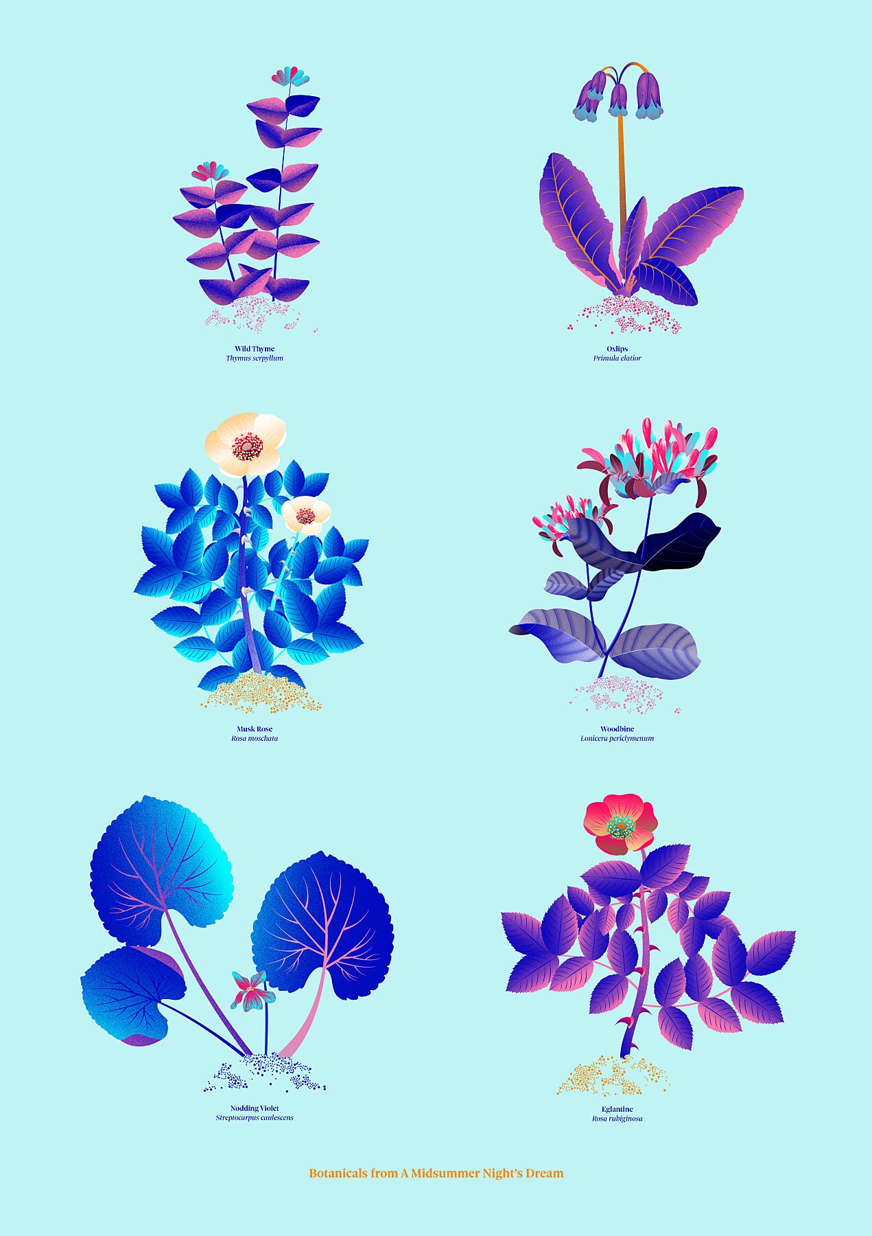 Floral art print 'The Forest's Flora' with electric blue, day-glow, and buttercup hues, inspired by Shakespeare's woodland - Print Only.