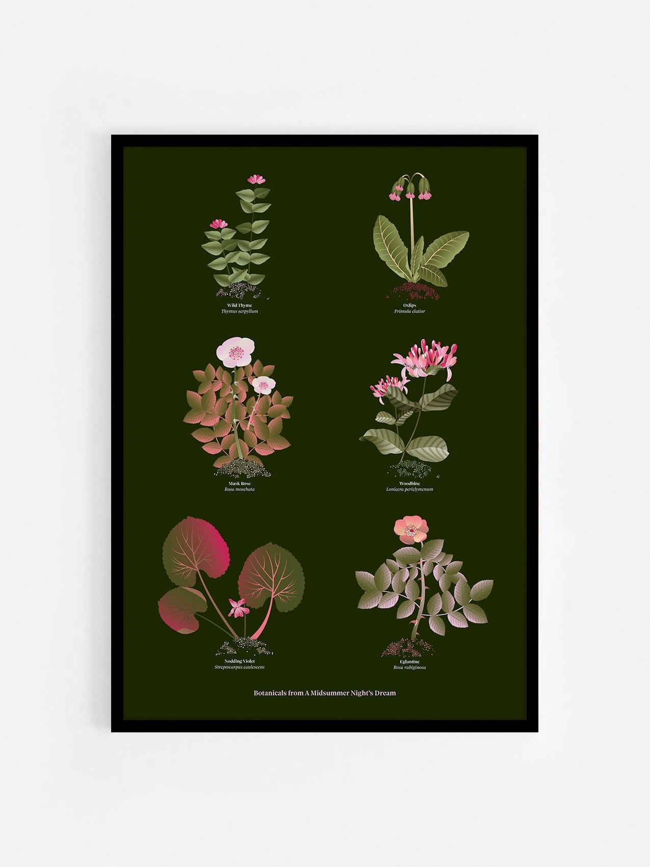 Floral art print 'The Forest's Flora' with olive, pink, and pomegranate hues, inspired by Shakespeare's forest - Black Frame.