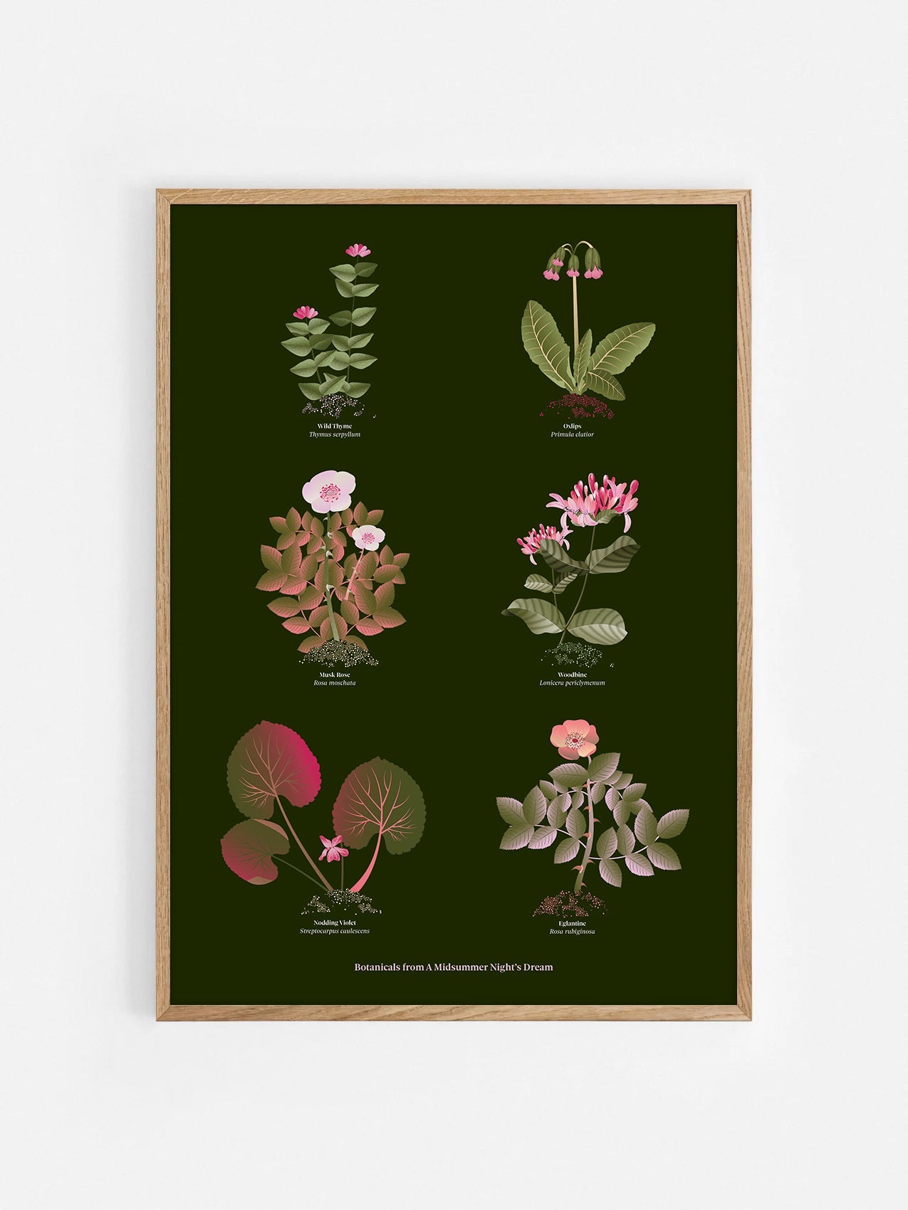 Floral art print 'The Forest's Flora' with olive, pink, and pomegranate hues, inspired by Shakespeare's forest - Oak Frame.