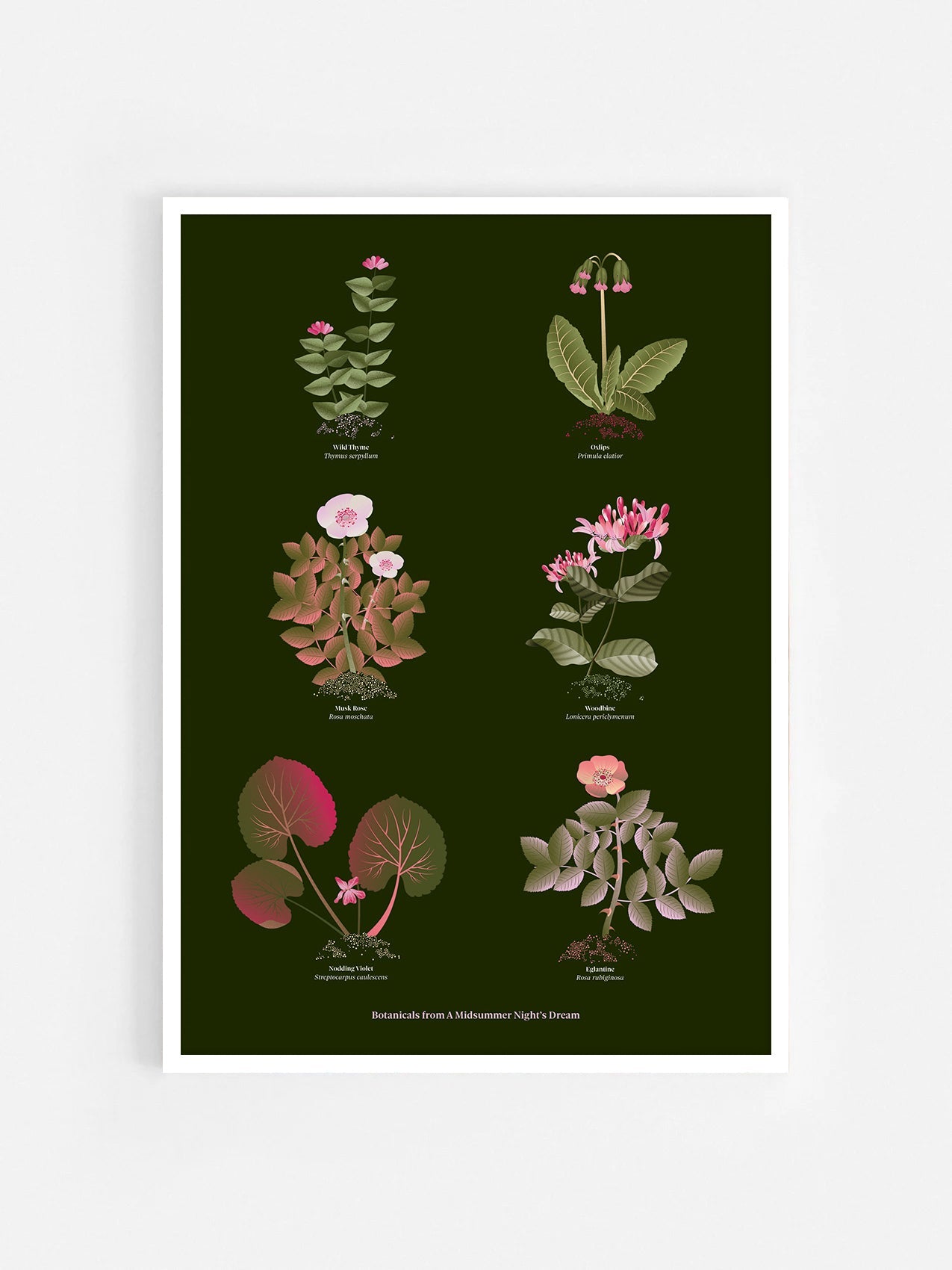 Floral art print 'The Forest's Flora' with olive, pink, and pomegranate hues, inspired by Shakespeare's forest - White Frame.