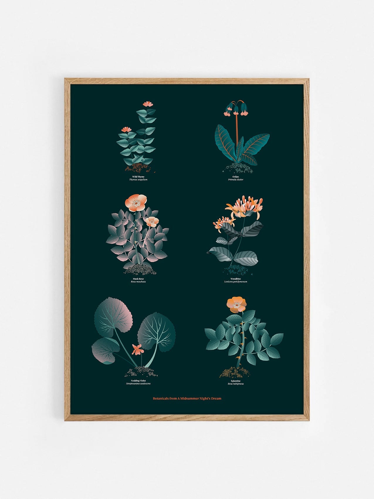 Floral art print 'The Forest's Flora' with teal, mandarin, and orange hues, inspired by Shakespeare's forest - Oak Frame.