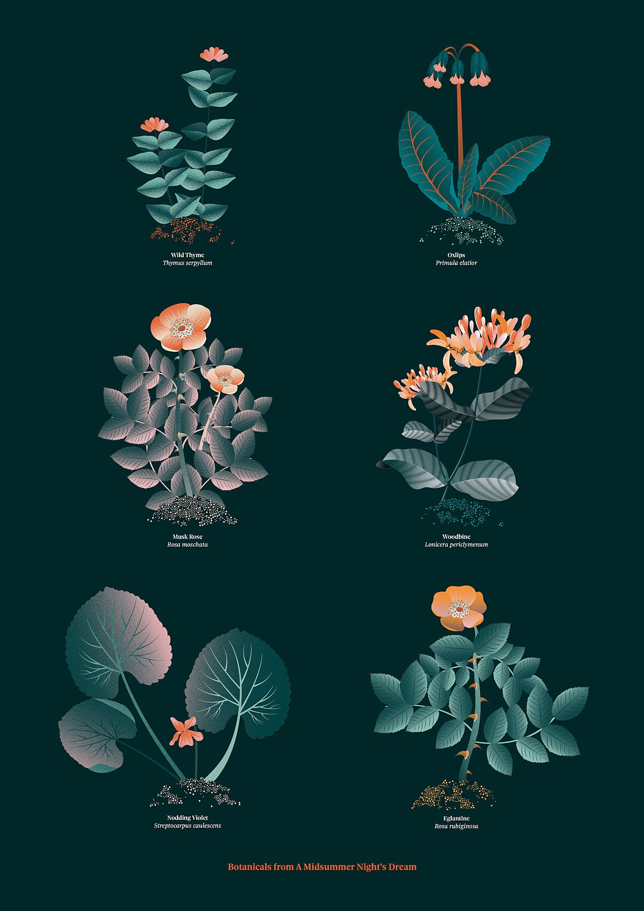 Floral art print 'The Forest's Flora' with teal, mandarin, and orange hues, inspired by Shakespeare's forest - Print only.